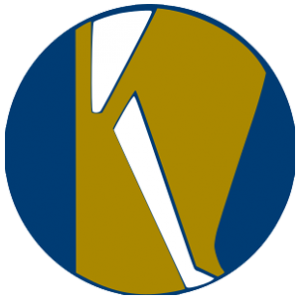 wordpress sites by klearvue it